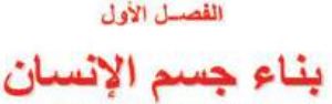 الفصل الأول بناء جسم الإنسان